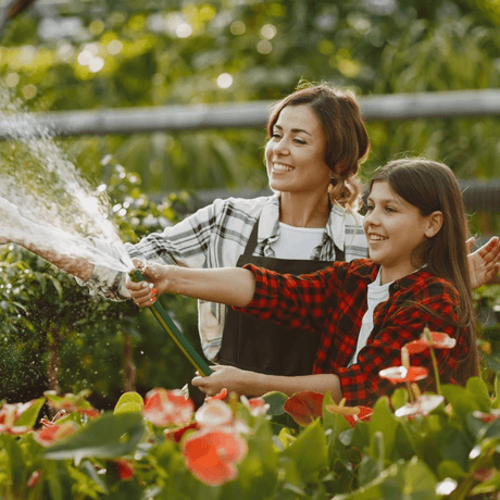 Gardening: Just a hobby or a life-changing activity? - Beattys of Loughrea