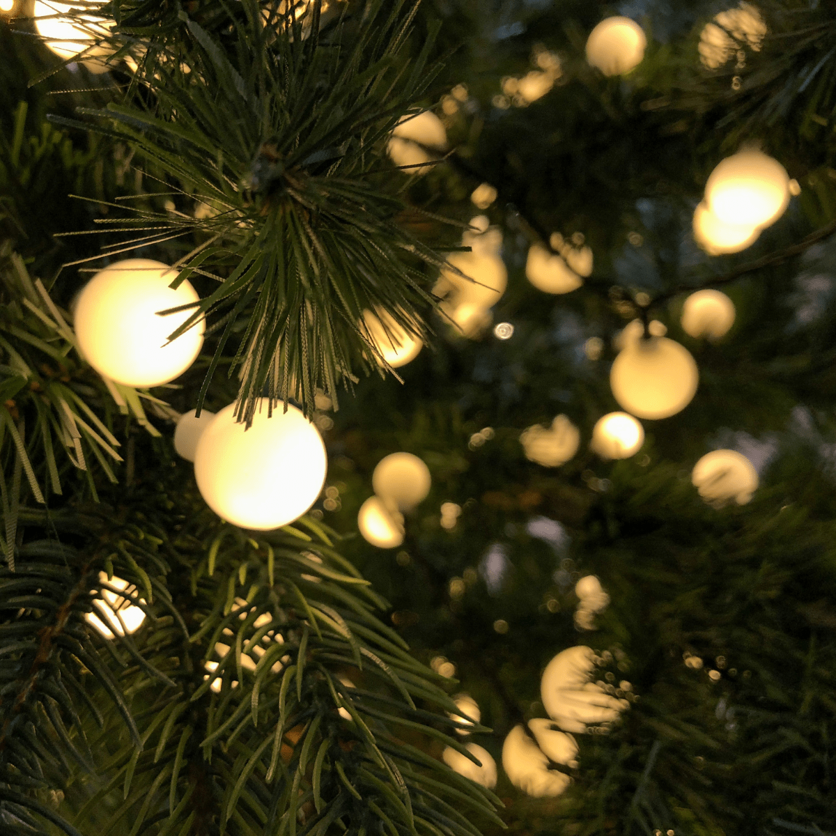 Everything you need to know about Christmas lights! - Beattys of Loughrea