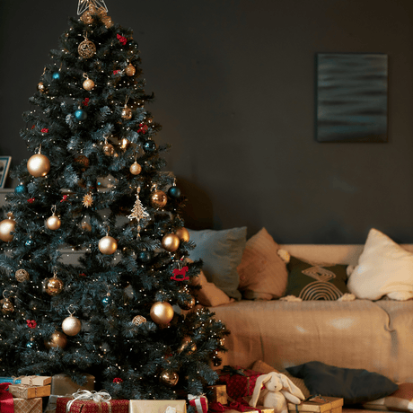 Beattys Christmas Tree Round-Up:  Find Your Perfect Match - Beattys of Loughrea