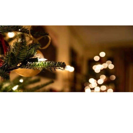 Christmas Fibre Optic Trees - Beattys of Loughrea 