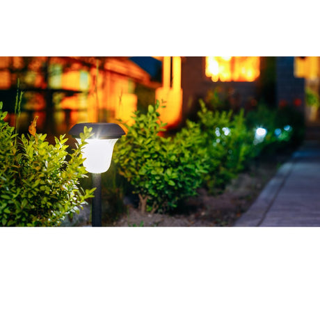 Garden Solar Lights