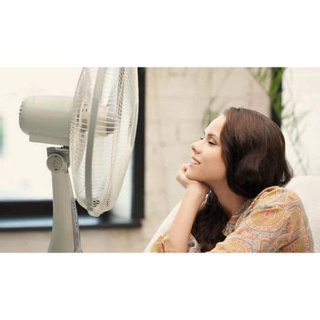 Fans - Beattys of Loughrea 