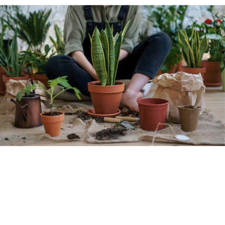 Compost & Bark - Beattys of Loughrea 