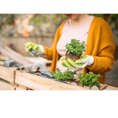 Garden Care - Beattys of Loughrea 