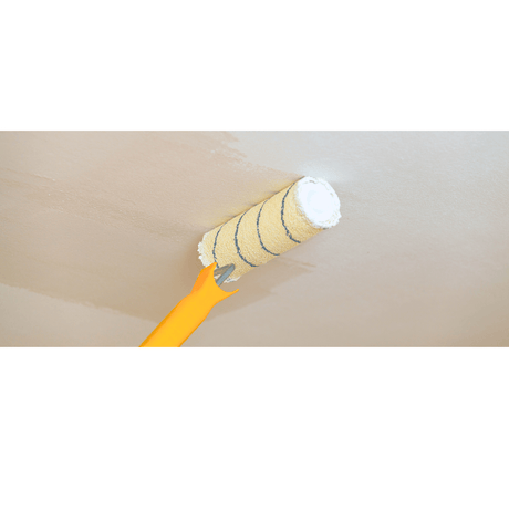 Ceiling Paint