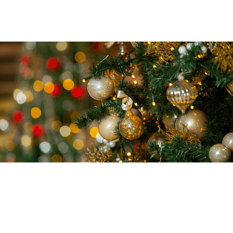 Christmas Trees 7.5ft and over - Beattys of Loughrea 