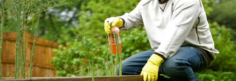 Bug & Pest Control - Beattys of Loughrea 