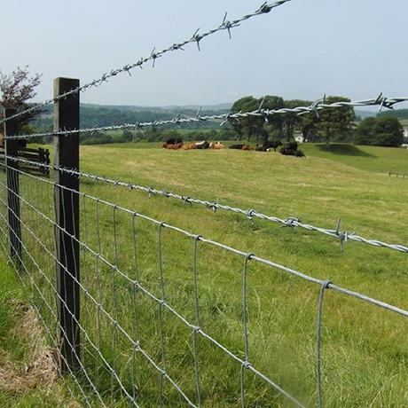 Fencing - Beattys of Loughrea 