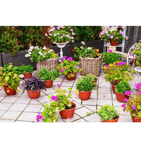 Flowerpots & Planters - Beattys of Loughrea 