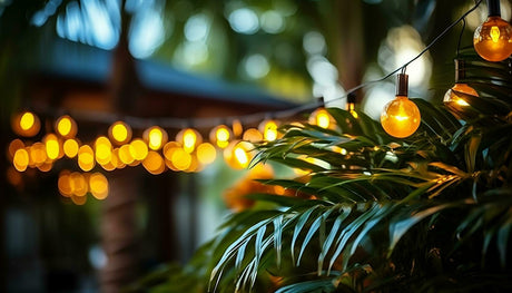 Decorative Garden Lighting - Beattys of Loughrea