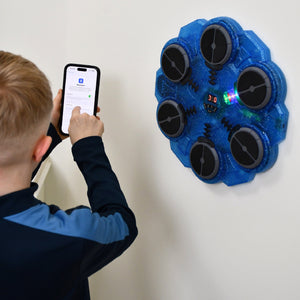 Toyfinity Boxing Target Game - Blue