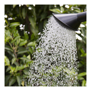 AquaPlus Watering Can Rose for 8 Litre and 10 Litre Cans