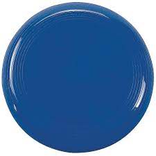 Flying Disc Frisbee - Beattys of Loughrea | www.beattys.ie