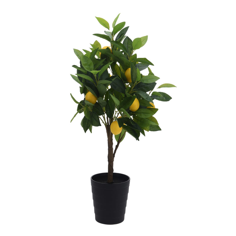 70cm Artifical Lemon Tree in Pot - POTTED PLANTS - DRY ORNAMENTAL - Beattys of Loughrea