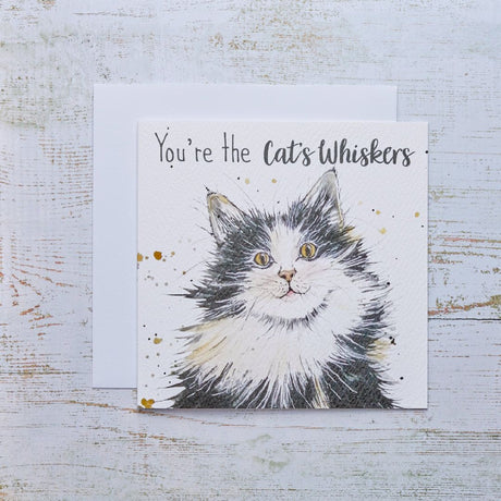 R13 CATS WHISKERS CARD 4CT470