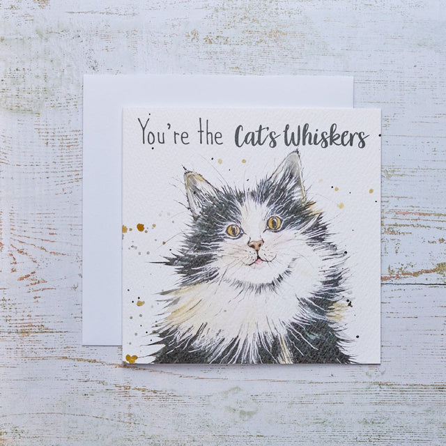 R13 CATS WHISKERS CARD 4CT470