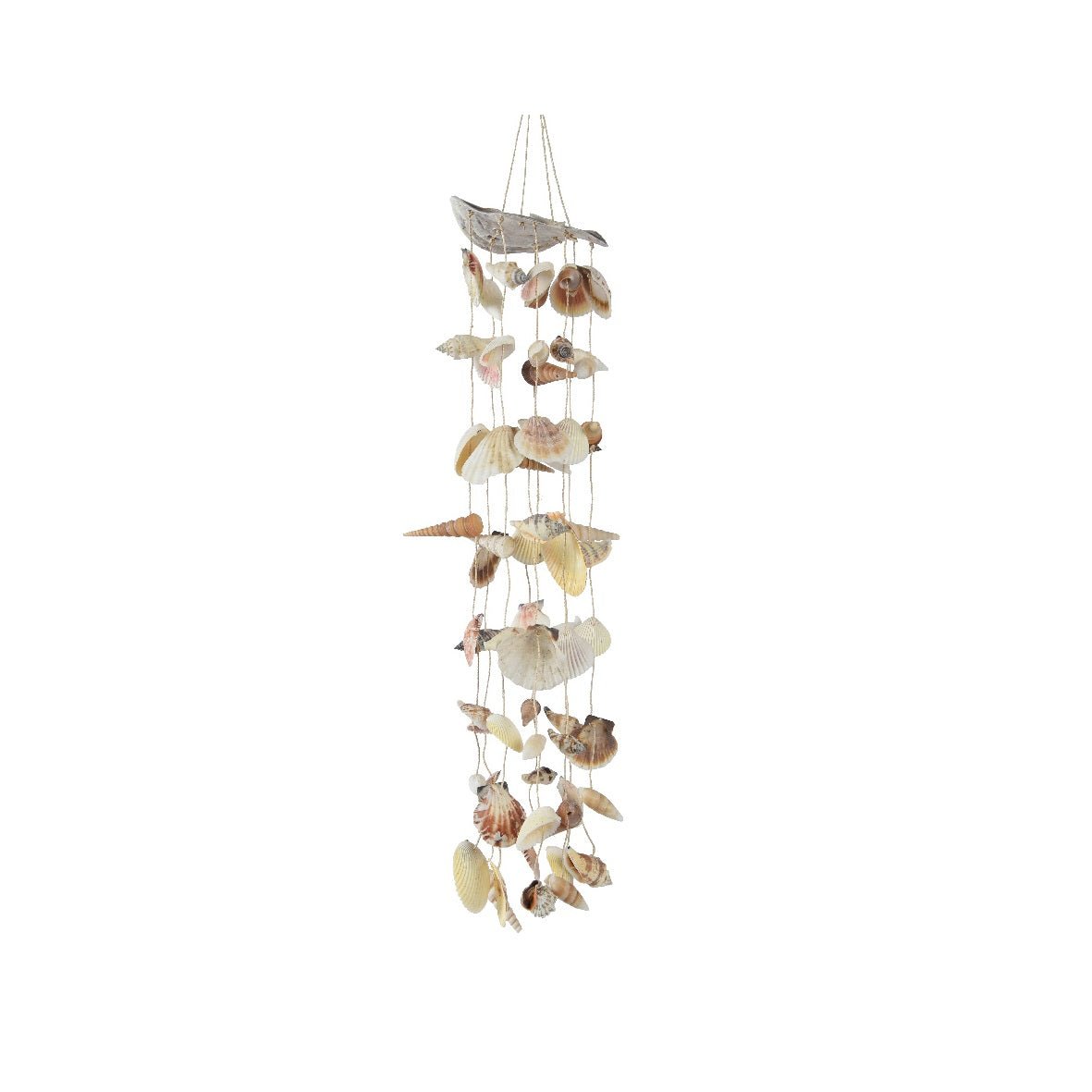 Indoor Sea Shell Windchime - ORNAMENTS - Beattys of Loughrea