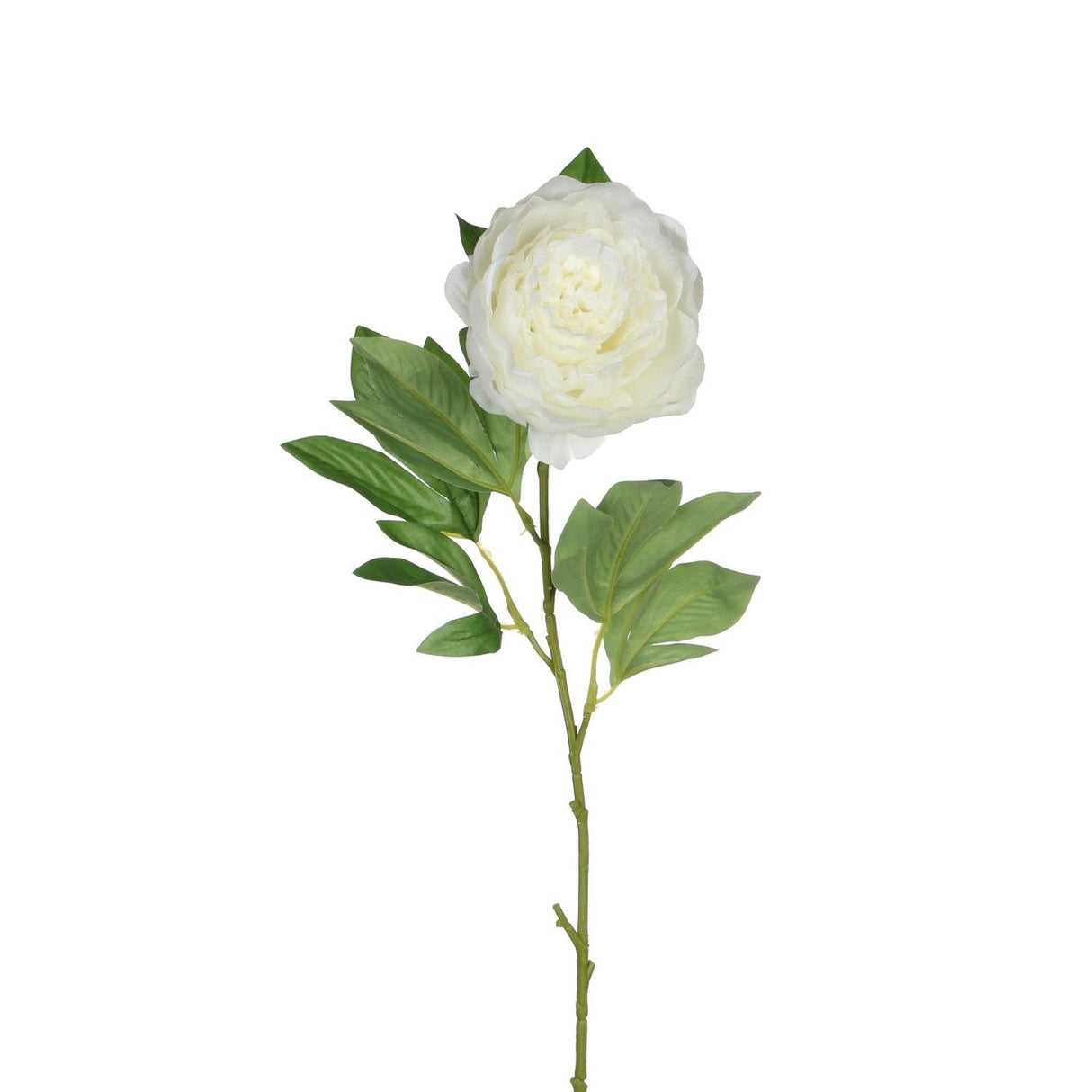 Cream Peony Stem Artificial Flower 76cm