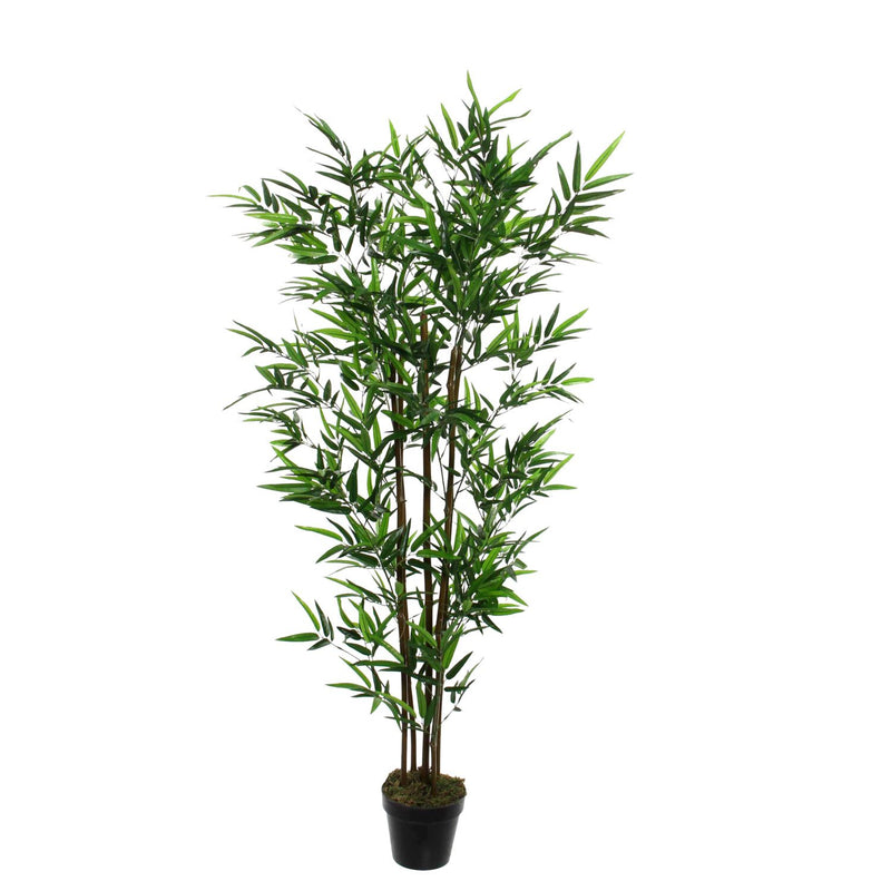 Bamboo Artificial Plant in Pot 155cm - POTTED PLANTS - DRY ORNAMENTAL - Beattys of Loughrea