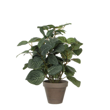 Pilea Artificial Plant in Plant Pot H35 x Ø25cm - POTTED PLANTS - DRY ORNAMENTAL - Beattys of Loughrea