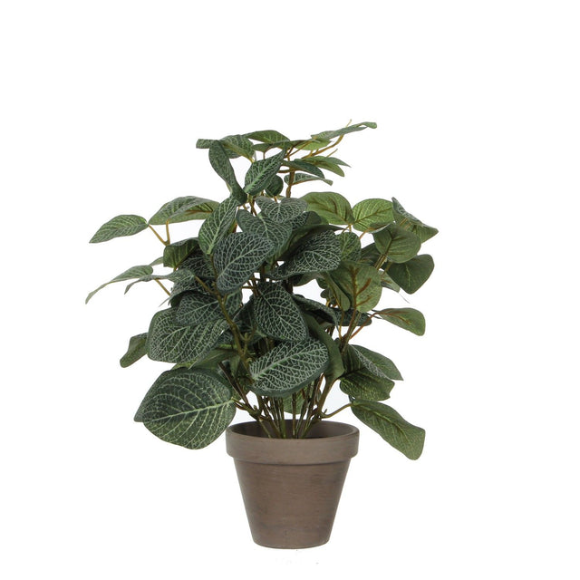 Pilea Artificial Plant in Plant Pot H35 x Ø25cm - POTTED PLANTS - DRY ORNAMENTAL - Beattys of Loughrea