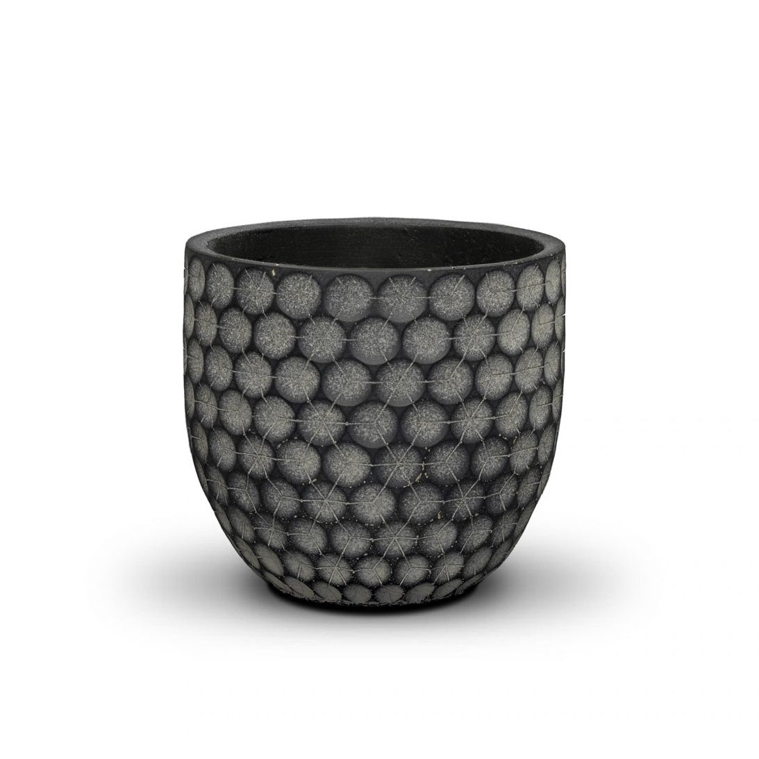 Agg Dandelion Black Plant Pot 13cm