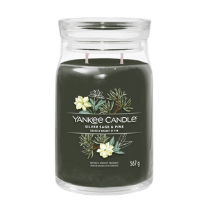 Silver Sage & Pine Signature Large Jar Yankee Candle 567g - CANDLES - Beattys of Loughrea