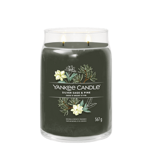 Silver Sage & Pine Signature Large Jar Yankee Candle 567g - CANDLES - Beattys of Loughrea
