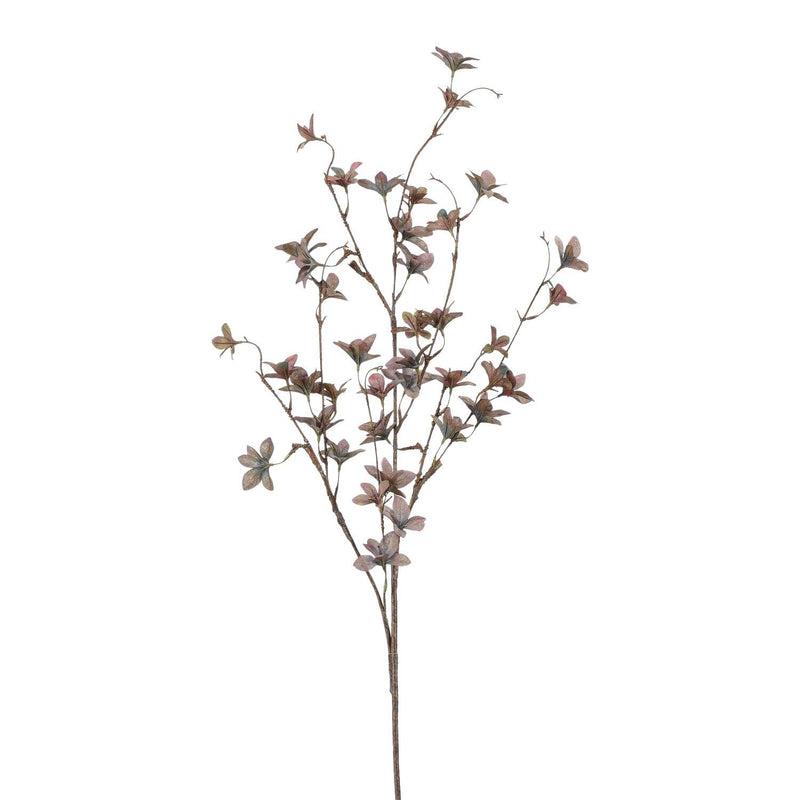 Pittosporum Branch Purple 120cm