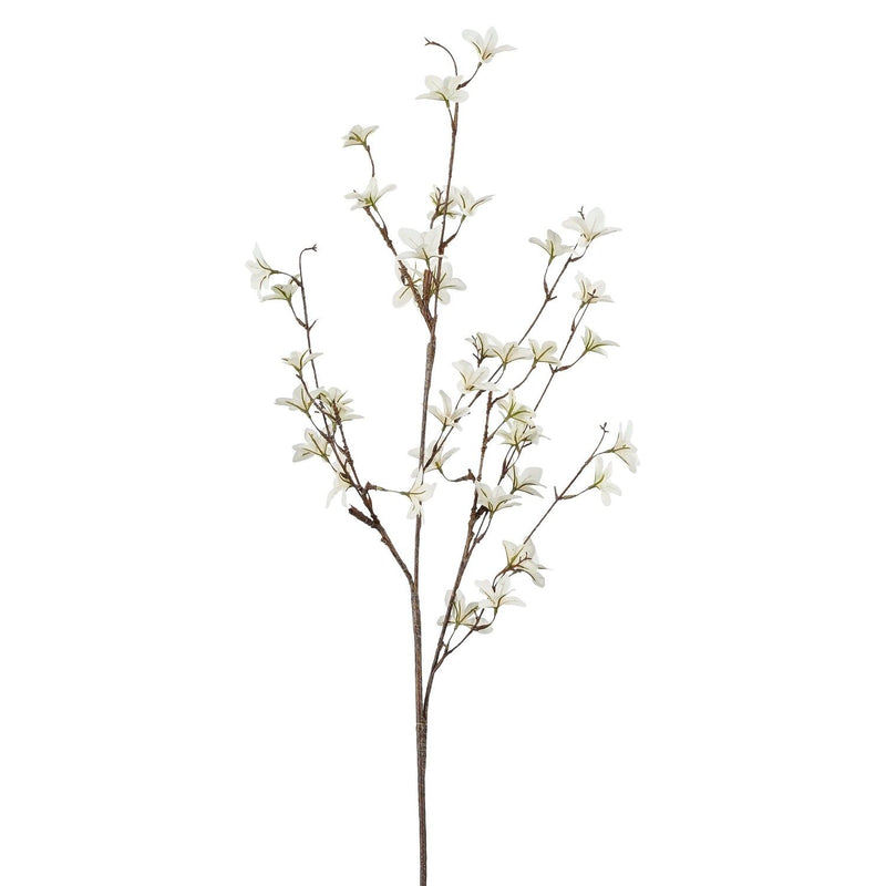 Pittosporum Branch White 120cm