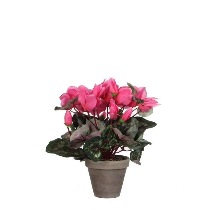 Artificial Cyclamen Plant Pink in Grey Pot 30cm - POTTED PLANTS - DRY ORNAMENTAL - Beattys of Loughrea