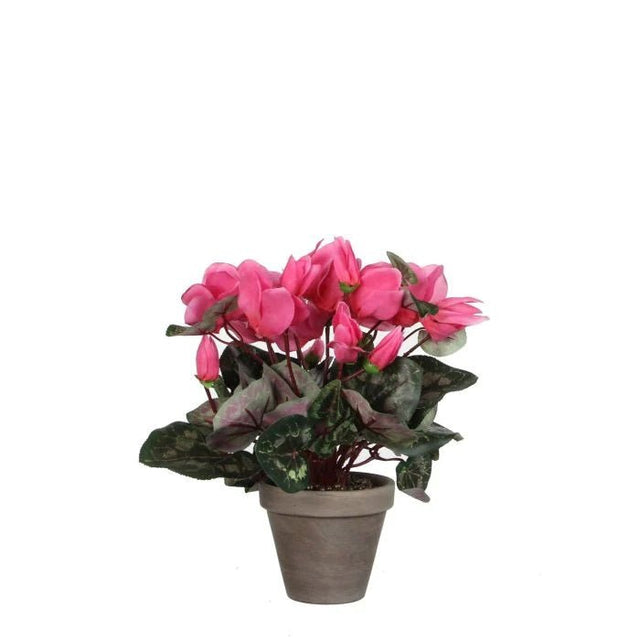 Artificial Cyclamen Plant Pink in Grey Pot 30cm - POTTED PLANTS - DRY ORNAMENTAL - Beattys of Loughrea