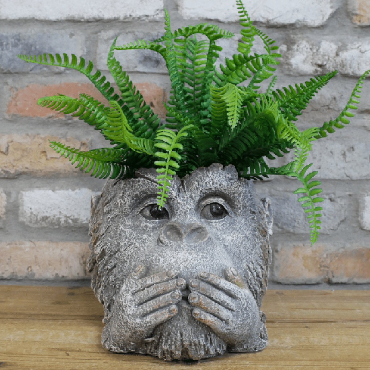 Monkey Head Planter 9448 - PLANTER POT CLAY / CERAMIC - Beattys of Loughrea
