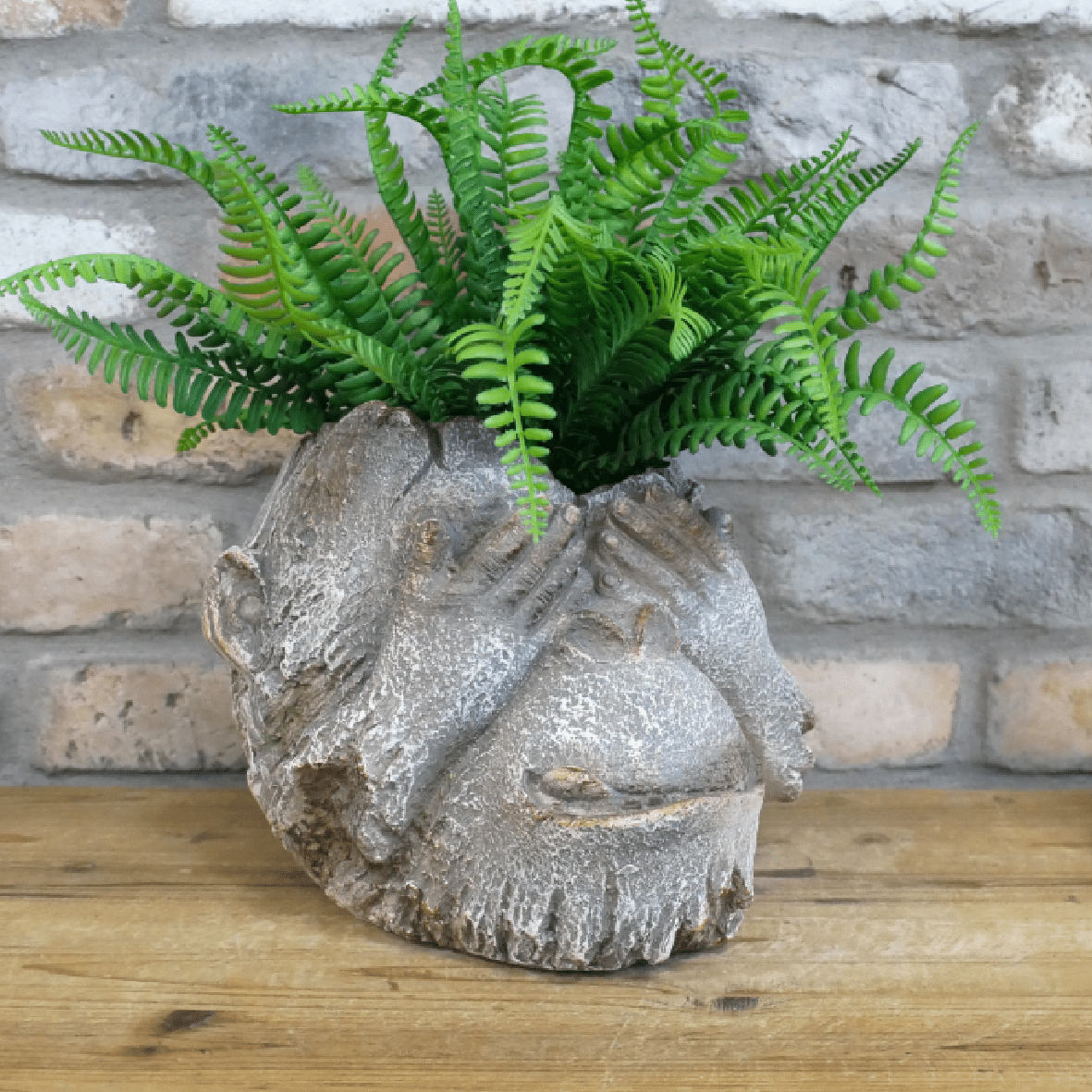 Monkey Head Planter 9449 - PLANTER POT CLAY / CERAMIC - Beattys of Loughrea