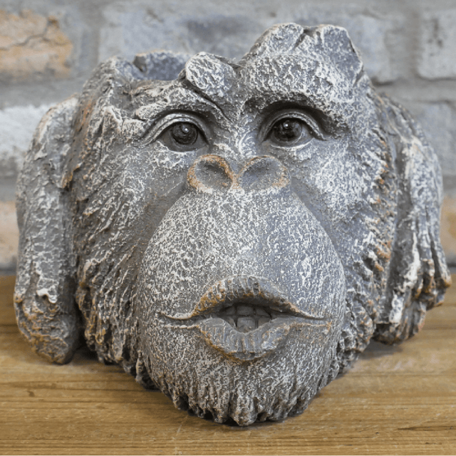 Monkey Head Planter 9447 - PLANTER POT CLAY / CERAMIC - Beattys of Loughrea