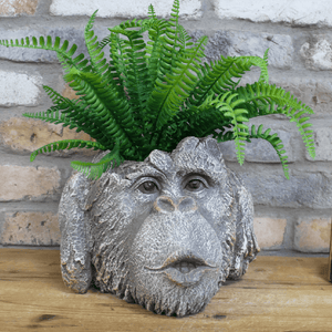 Monkey Head Planter 9447 - PLANTER POT CLAY / CERAMIC - Beattys of Loughrea