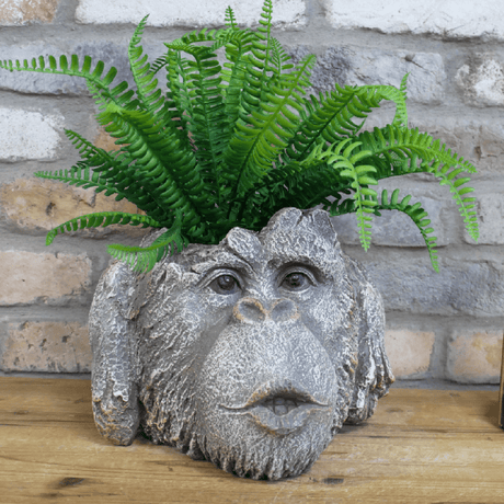 Monkey Head Planter 9447 - PLANTER POT CLAY / CERAMIC - Beattys of Loughrea