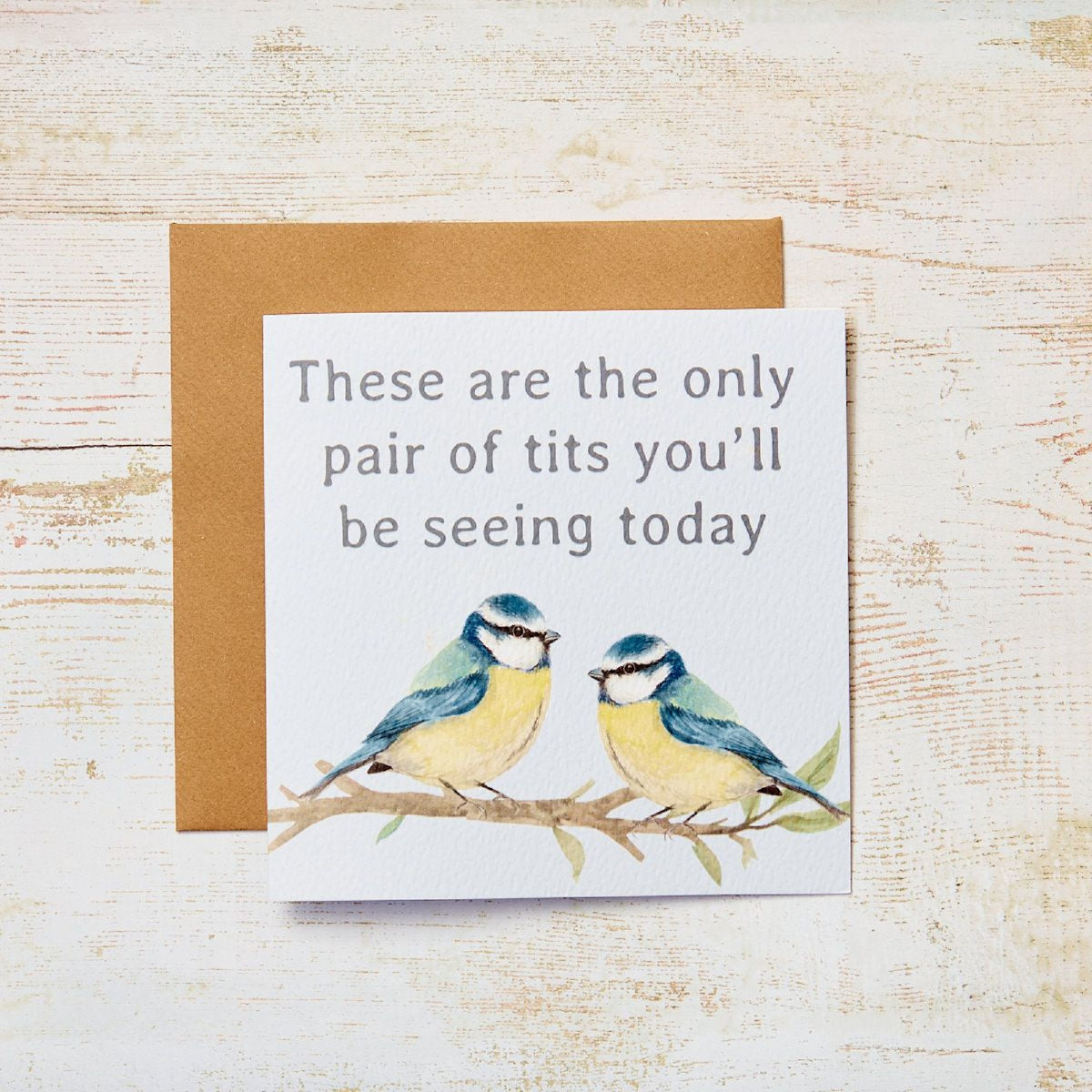 R13 BLUE TITS W/ BIRDS ON BRANCH HUMOUR CARD 4BB300