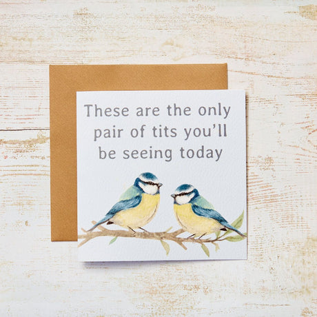 Blue Tits Humour Card with Birds on Branch - CARD/GIFTWRAP/GIFTBAGS - Beattys of Loughrea