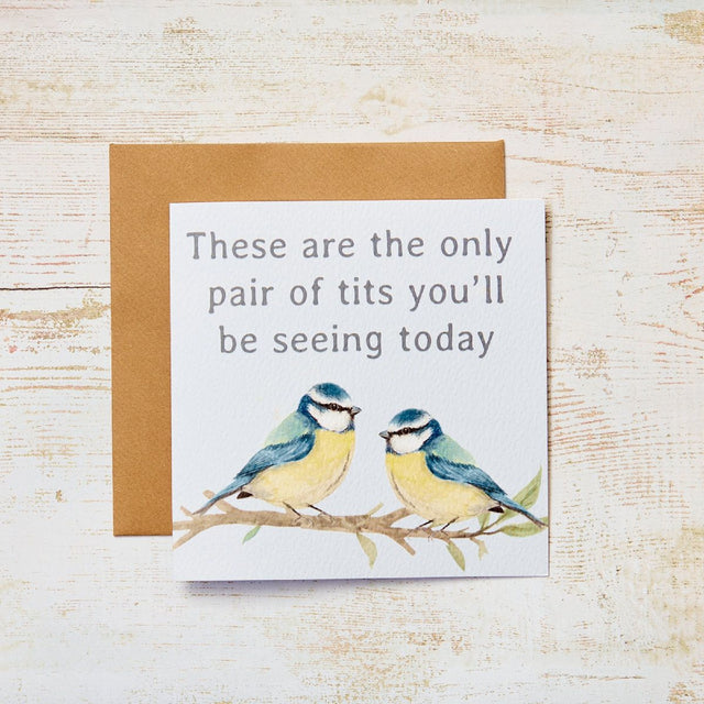 R13 BLUE TITS W/ BIRDS ON BRANCH HUMOUR CARD 4BB300