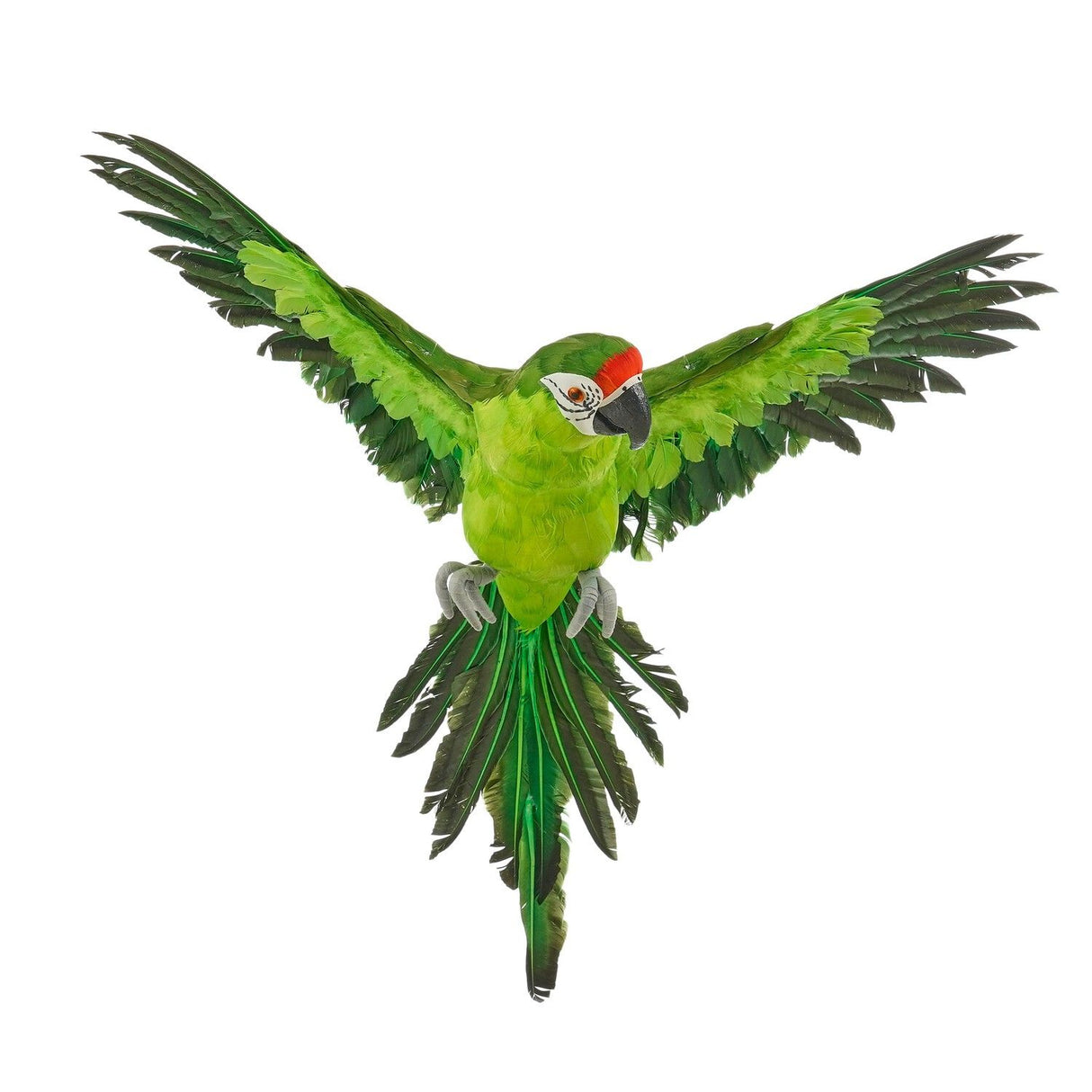 Decorative Hanging Parrot Green - l75xw76xh28cm