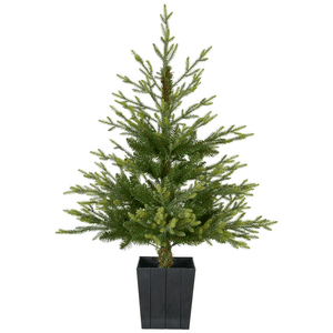 Helsinki Christmas Tree in Pot 4ft (1.2m) - XMAS TREE SMALL - Beattys of Loughrea