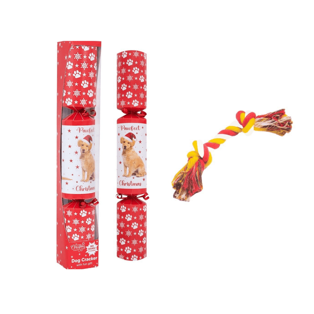 Christmas Pet Dog 14" Cracker - PET TOYS BOOKS - Beattys of Loughrea