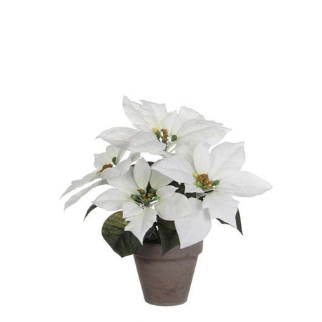 Mica Decorations Artificial White Poinsettia in Grey Pot 35cm - XMAS SOFT DECOS - Beattys of Loughrea