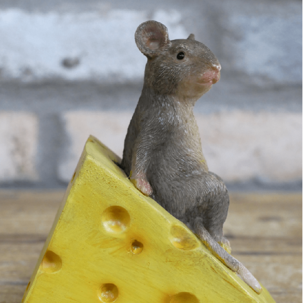 Mouse Sat On Cheese Ornament 13cm - ORNAMENTS - Beattys of Loughrea
