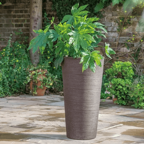 Stewart Varese Tall Vase Planter 75cm Tall - Dark Brown - PLANTER POT CLAY / CERAMIC - Beattys of Loughrea