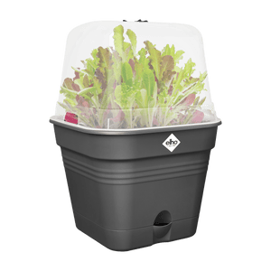 Elho Green Basics Growpot Square All - in - 1 20cm Living Black - PLANTER POT CLAY / CERAMIC - Beattys of Loughrea