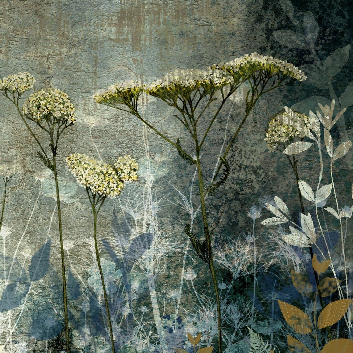 Clarity Framed Wall Art - PICTURES, PAINTINGS - Beattys of Loughrea