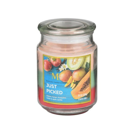 Modern Expressions 18oz Candle Jar 'Just Picked' - CANDLES - Beattys of Loughrea
