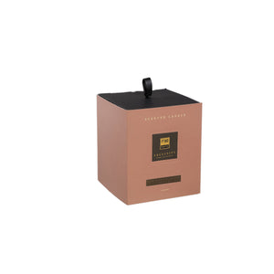 PTMD Exclusive Oak Blackcurrant Scented Candle 900g - CANDLES - Beattys of Loughrea